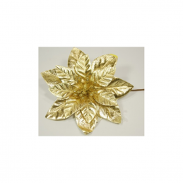 Mikulásvirág fényes 12cm arany